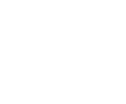 Evolution games at Playamo Casino